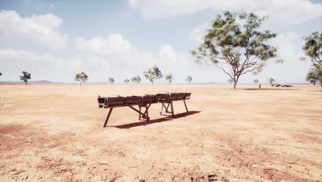 Traditional-old-wooden-aqueduct-in-savanna