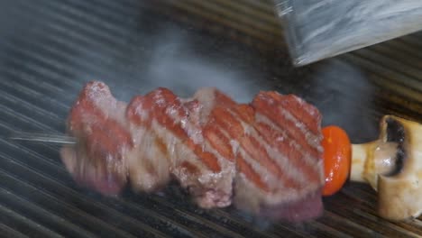 close-up of a beef and vegetable kabob cooking on the bbq