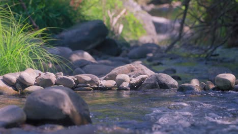 Rocks at river near Marbella, Spain