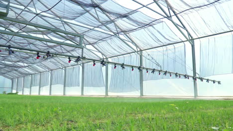 watering machine irrigating plants in greenhouse. agricultural equipment