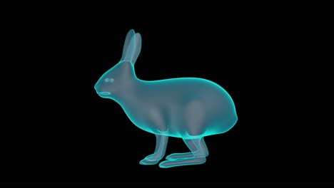 a beautiful 3d rabbit holograph turntable render