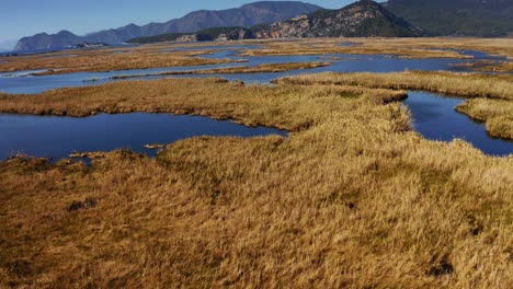 4k,-Drone-flies-over-blue-lake-with-dried-grass-covering-most-of-the-surface,-Green-and-brown-mountains-in-the-background