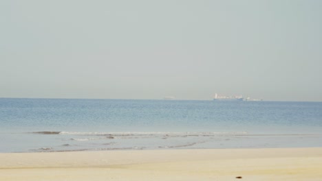 cargo ship on calm sea viewed from sandy beach – maritime and coastal scene