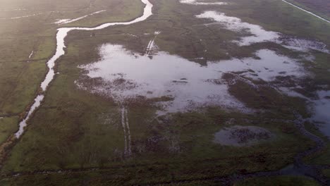 paso elevado de drones en un humedal pantanoso en el delta de un río en la costa de los países bajos