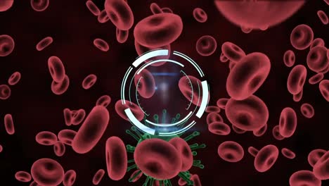 Animation-of-circular-scanner-rotating-over-red-blood-cells