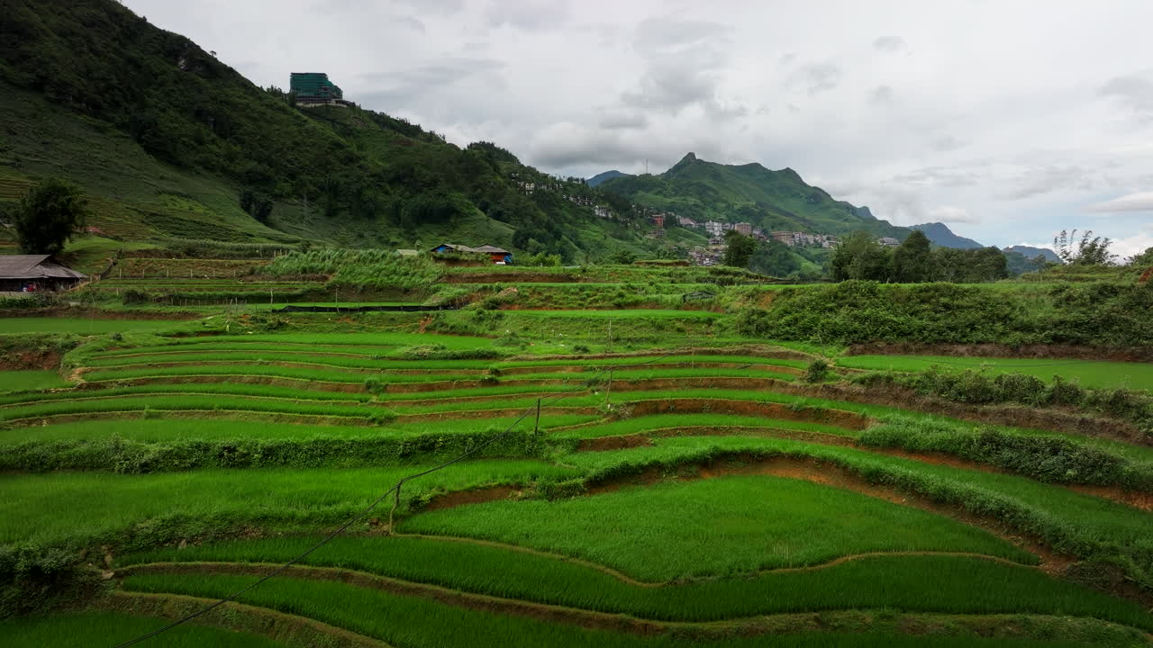 Stunning Rice Terraces in the Mountains of Vietnam