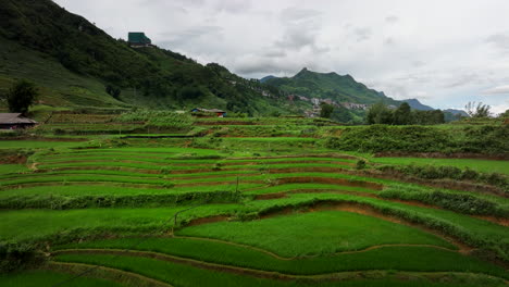 stunning rice terraces in the mountains of vietnam