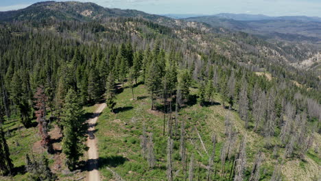 Static-aerial-tracking-vehicle-on-dirt-road-in-remote-mountain-range-in-Idaho