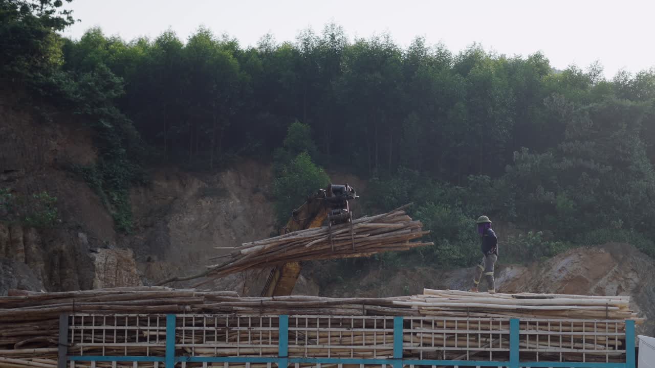 Loading Logs onto Truck in a Forest