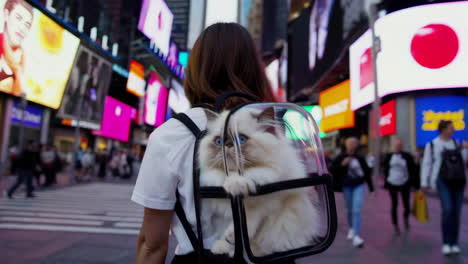 woman with cat in transparent backpack in times square