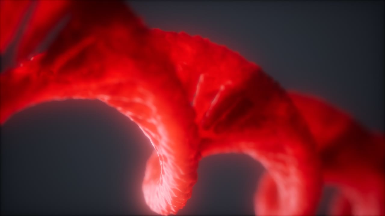 dna 가닥의 이중 루프 나선형 구조 클로즈업 애니메이션