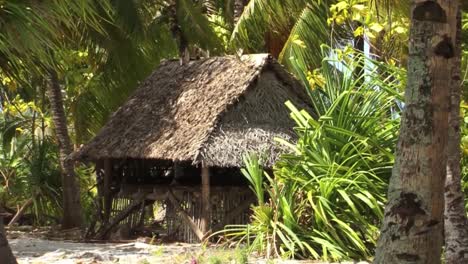 wood house on fanning island