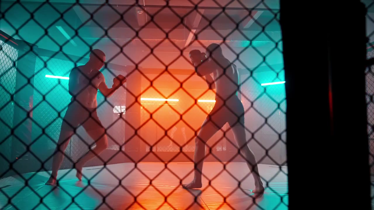 Siluetas de dos luchadores masculinos entrenando en una jaula de MMA con luces de neón.