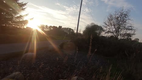 Driving-through-the-countryside