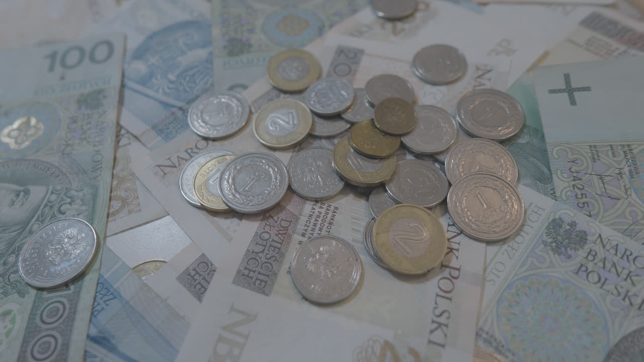 vista de monedas polacas dispersas en una variedad de billetes polacos