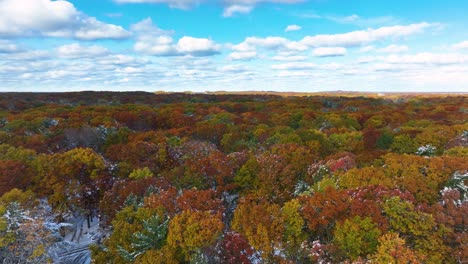 A-slow-pan-across-the-heavy-treetops-after-the-storm