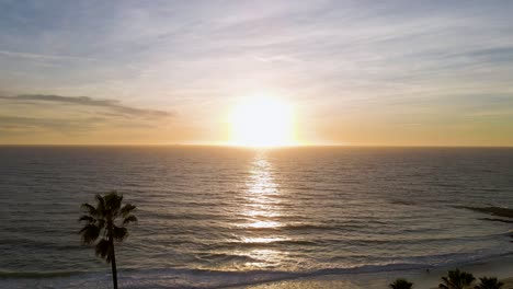 Epic-Aerial-backwards-flight-over-Tranquil-Pacific-Ocean-with-colorful-sunset-in-backdrop-and-silhouette-of-palm-tree