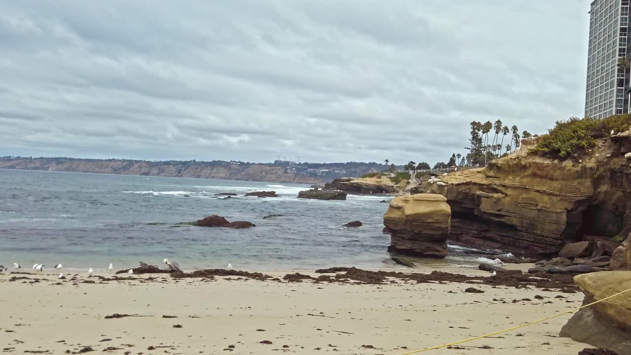 Flying birds above La Jolla affluent in San Diego