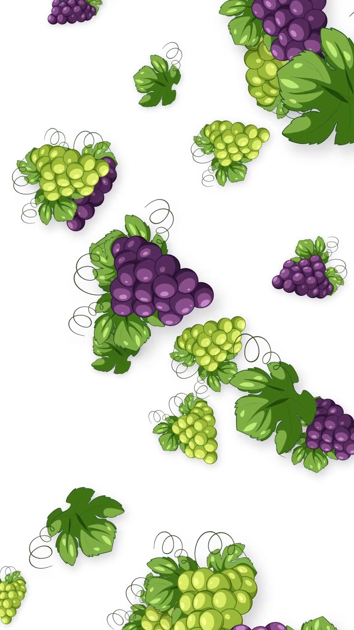 Grappoli d'uva illustrati verdi e viola che cadono verticalmente su uno sfondo bianco pulito