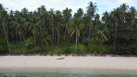 Coconut-Palm-Forest-on-Tropical-Sandy-Beach-in-Port-Barton,-Drone-Trucking-Shot