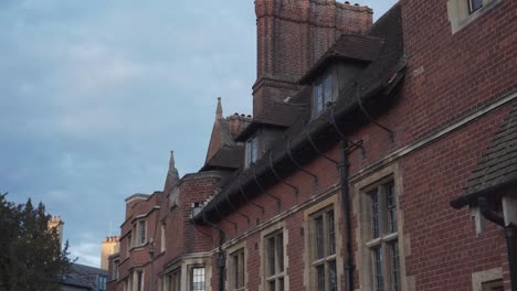 elegant and clean building with red bricks in the city centre of cambridge, england. tree with green leaves