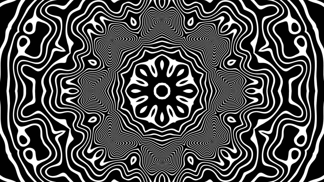 Monochrome Black and White Kaleidoscopic Mandala with Hypnotic Swirling Patterns and Fluid Geometric Symmetry in a Seamless Loop