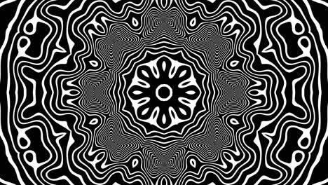monochrome black and white kaleidoscopic mandala with hypnotic swirling patterns and fluid geometric symmetry in a seamless loop