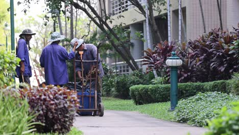 two gardeners working together in a lush park