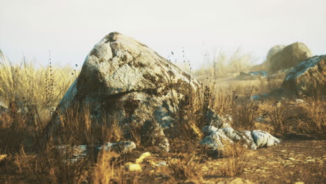rock formation amidst dry grass and scattered stones under a clear sky