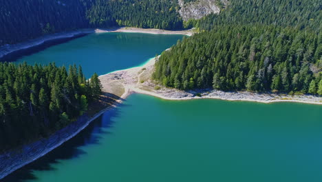 圍繞著松樹林的山間湖泊的空中景色