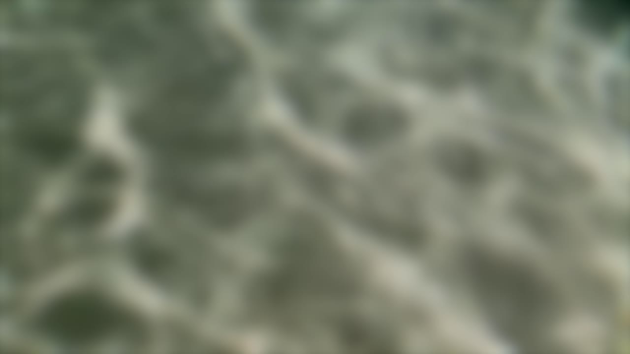 Softly blurred sunlight patterns dance across a sandy seabed with shimmering underwater light effects