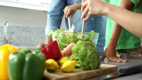 Cute-family-preparing-a-salad