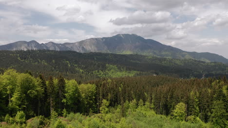 Slow-aerial-descent-into-forest-around-Postavarul-Massif-in-Romanian-Carpathians