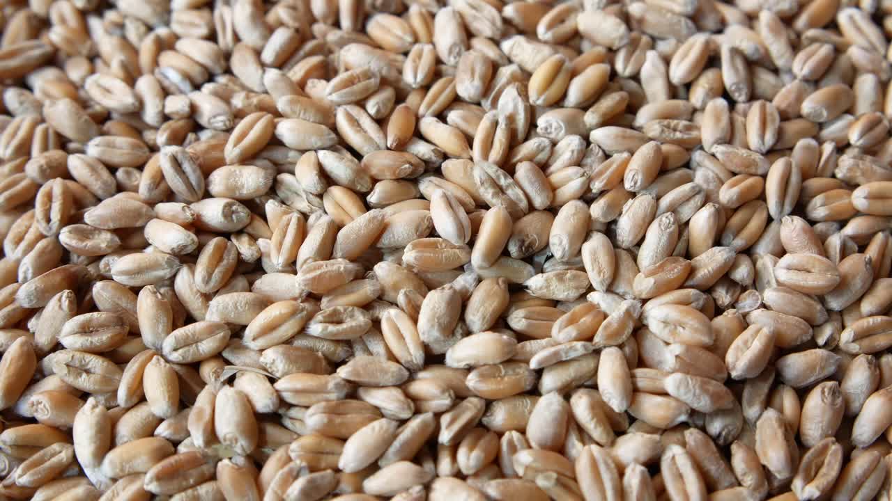 밀 씨의 클로즈업