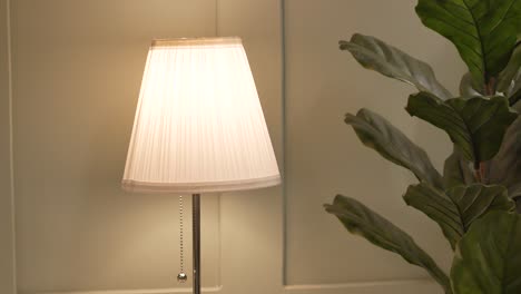 white table lamp and plant decor