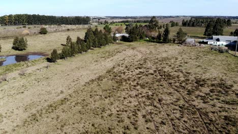 aerial footage of the countryside, field, with a lake and trees