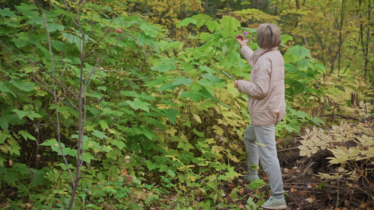 female plant scientist in beige jacket closely examining tall green plant while taking notes in lush forest, surrounded by vibrant leaves and overgrowth during calm autumn field research observation