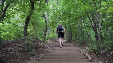 hiker walking up the hill in the wood, walking on stairs up the trail