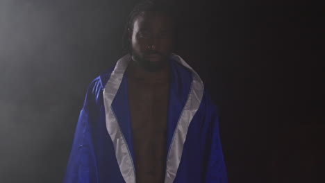 portrait d'un boxeur portant des gants et une robe dans le ring avant le début d'un match de boxe agitant et saluant les fans 1