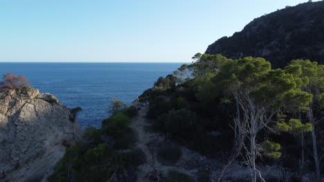 Drone-descending-downward-over-blue-mediterranean-sea-behind-a-cliff-with-trees-in-the-Baleares-Mallorca