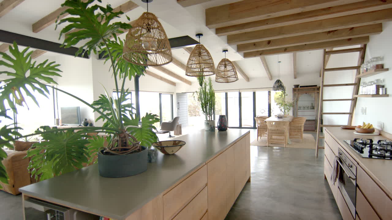 Modern kitchen with large island, hanging lights, and indoor plants in open-concept home