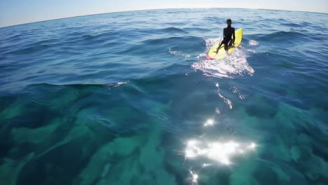 surfer on a stand up paddleboard