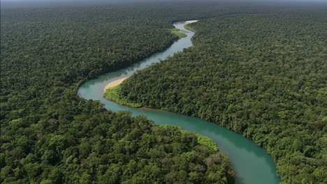 aerial view of a river flowing through a lush rainforest