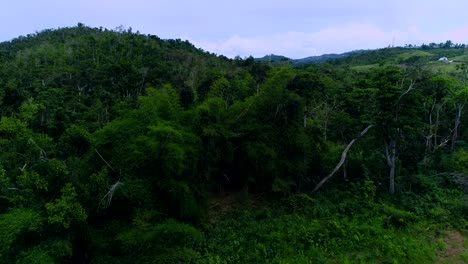 Driving-along-the-highway-towards-Fajardo-and-stopped-to-drone-the-hills