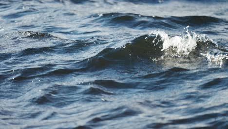 un primer plano de las olas en la superficie del agua