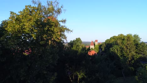 a drone descends slowly past a tree in the background you can see drone descends slowly past a tree in the background is the city tower the old town and part of the park