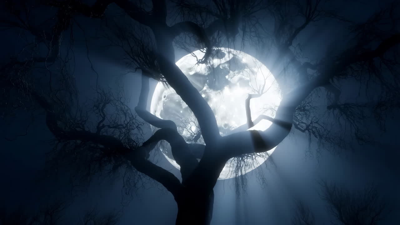 Silueta de un árbol iluminado por la luna