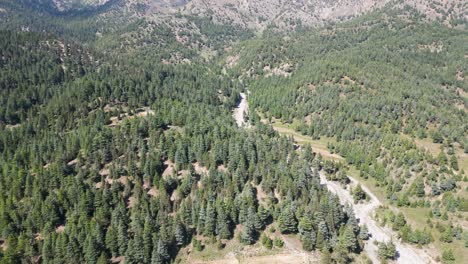 the lush hillsides of afghanistan