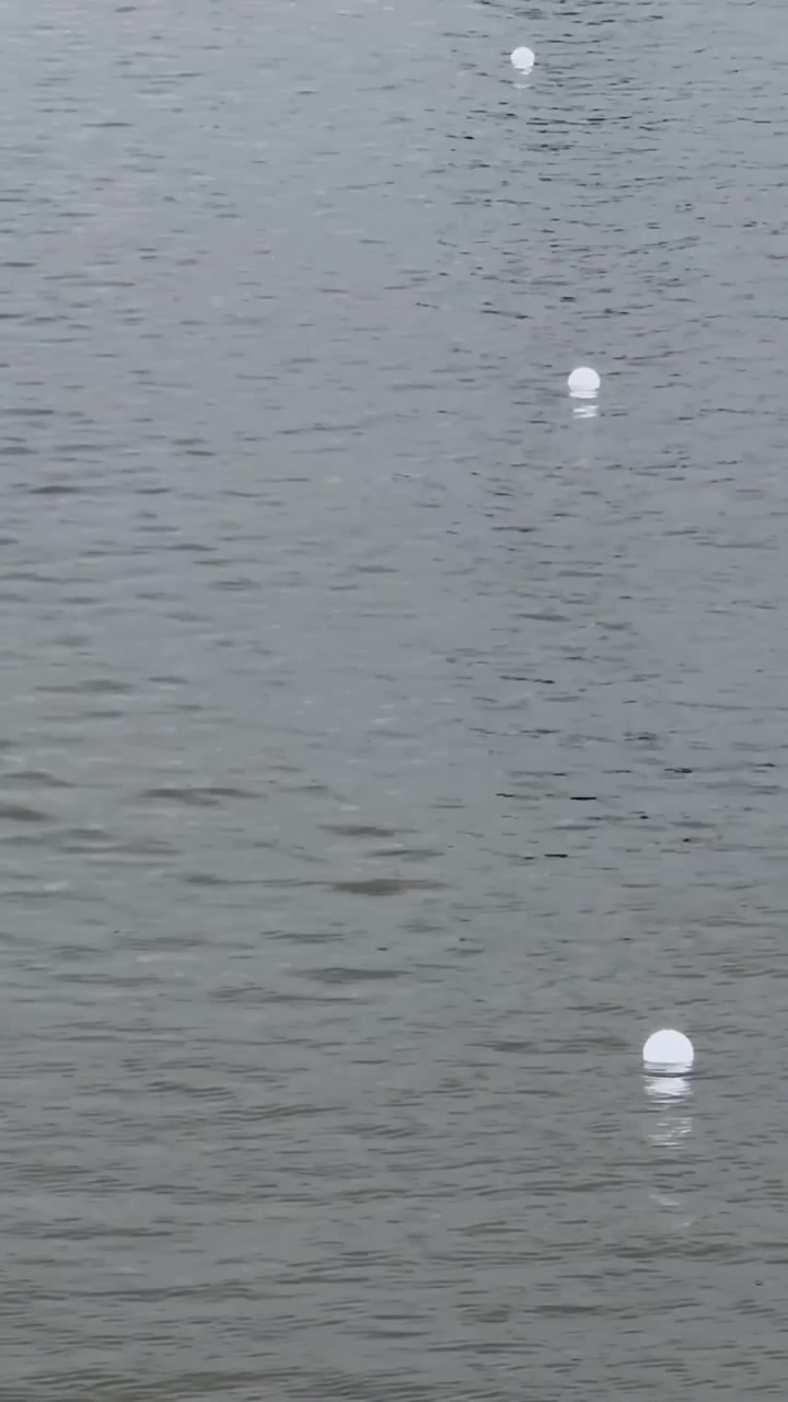White course marker buoys float across rippling water at Brandenburg canoe sprint venue, vertical pan right