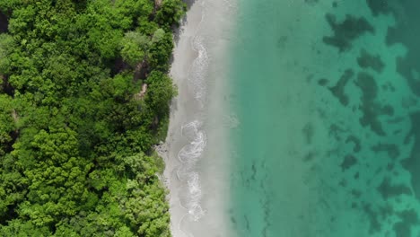 Aerial-view-of-woman-floating-and-swimming-in-amazing-turquoise-clear-water-in-caribbean-beach